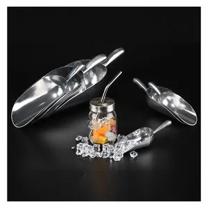 Stainless Serving Scoop with Black Handle